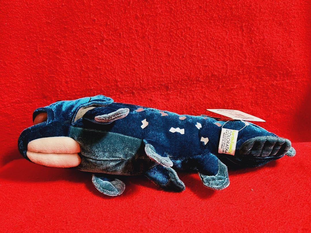 Amazon.co.jp: 沼津港深海水族館 シーラカンスミュージアム ぬいぐるみ